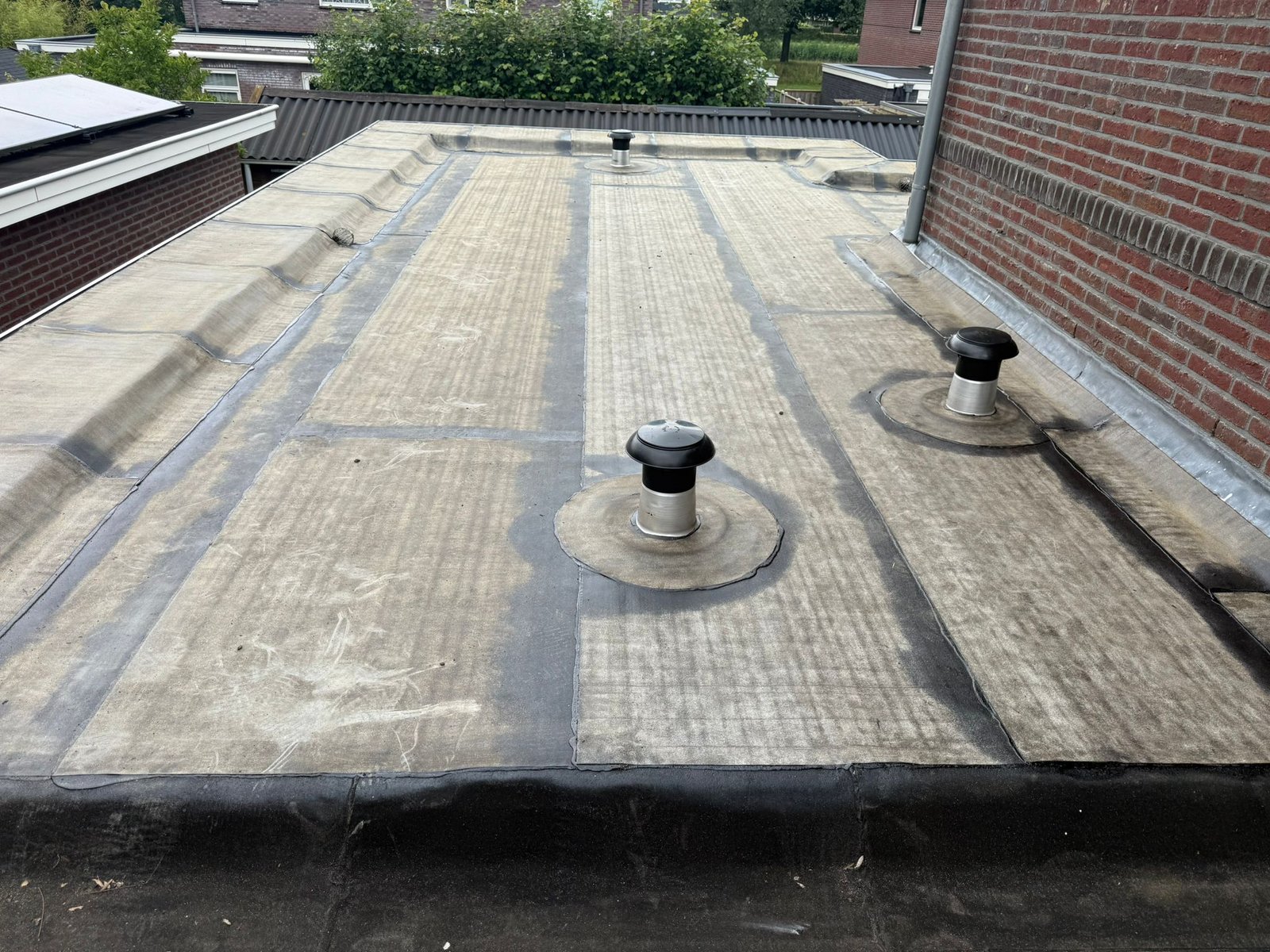 WhatsApp Image 2025-09-02 at 16.40.10 (1)